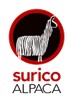 Surico Alapca
