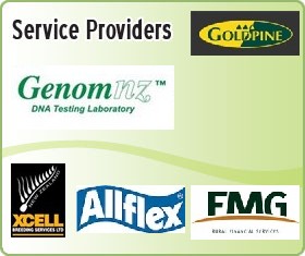 Service Providers List